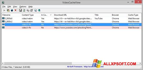 Captură de ecran VideoCacheView pentru Windows XP