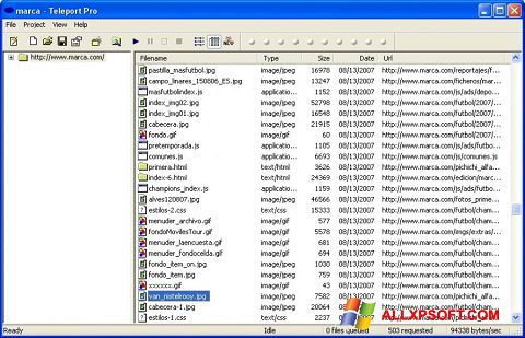 Captură de ecran Teleport Pro pentru Windows XP