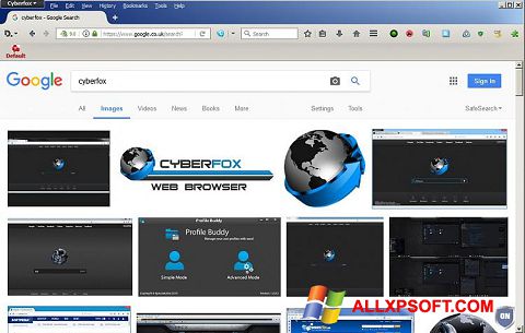 Captură de ecran Cyberfox pentru Windows XP