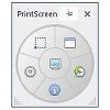 Gadwin PrintScreen pentru Windows XP