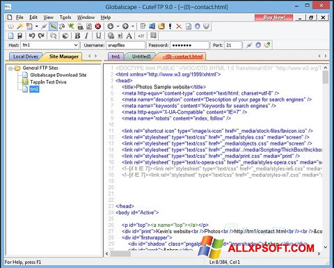 Captură de ecran CuteFTP pentru Windows XP
