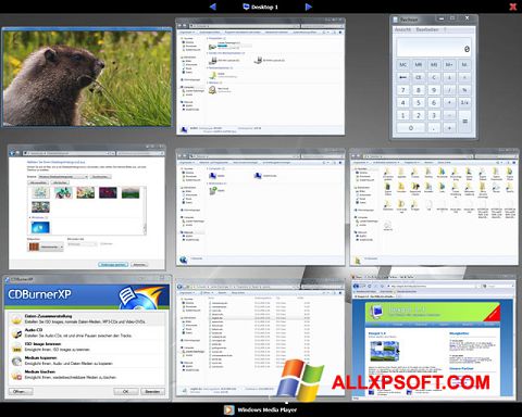 Captură de ecran Dexpot pentru Windows XP