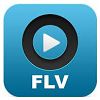 FLV Player pentru Windows XP