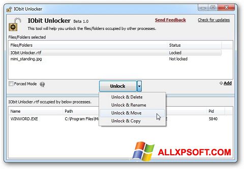 Captură de ecran IObit Unlocker pentru Windows XP