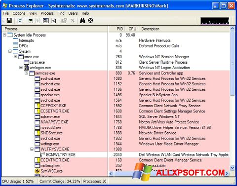 Captură de ecran Process Explorer pentru Windows XP
