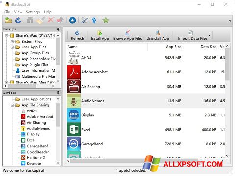 Captură de ecran iBackupBot pentru Windows XP