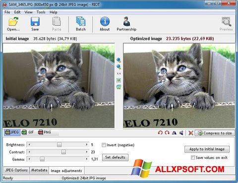 Captură de ecran RIOT pentru Windows XP