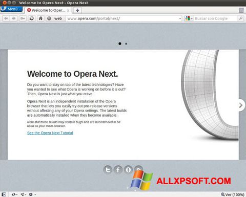 Captură de ecran Opera Developer pentru Windows XP